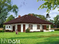 Projekt domu jednorodzinnego DOM EKONOMICZNY_widok ogrodowy
